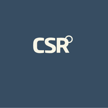 CSR-chef eller forandringsleder?